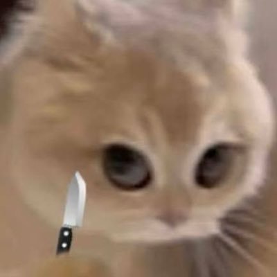 Tải Ngay 55+ Meme Mèo Cầm Dao Siêu Lầy Lội meme mèo cầm dao meme mèo nổi giận