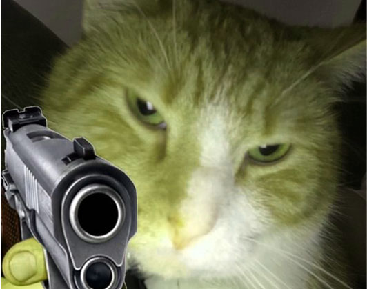 Top 69+ Meme Mèo Cầm Súng Hài Hước, Đáng Yêu Siêu Bá meme mèo cầm súng vô tri