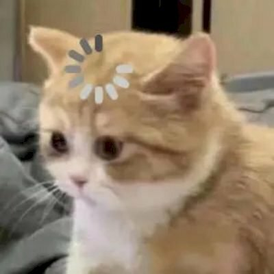 Top 99+ Các Meme Mèo Cute Siêu Đáng Yêu Dành Cho Con Sen meme mèo cute phong cách dễ thương hài nhẹ