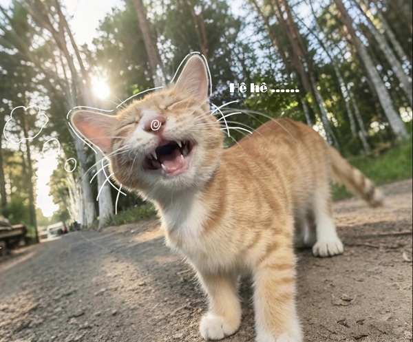 Top 1001+ Meme Mèo Há Miệng Siêu Hài Hước & Lầy Lội meme mèo há miệng cười vui vẻ