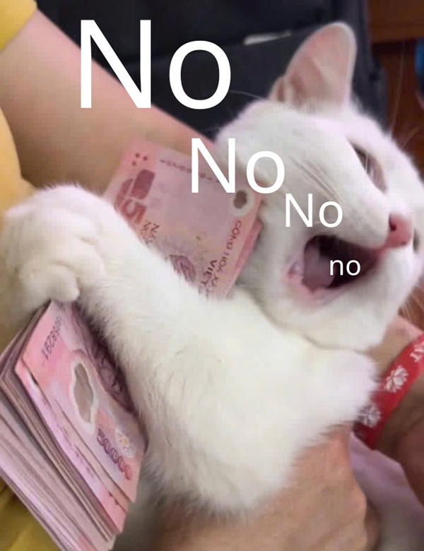 Top 1001+ Meme Mèo Há Miệng Siêu Hài Hước & Lầy Lội Ảnh meme mèo há miệng giữ tiền