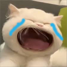 Tuyển Tập 99+ Meme Mèo Khóc Dỗi Slay Cực Cute meme mèo khóc chế gây cười