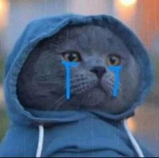 Tuyển Tập 99+ Meme Mèo Khóc Dỗi Slay Cực Cute meme mèo khóc Gen Z hợp đăng mạng xã hội