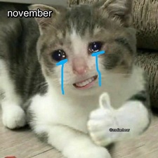 Tuyển Tập 99+ Meme Mèo Khóc Dỗi Slay Cực Cute meme mèo khóc cười ra nước mắt