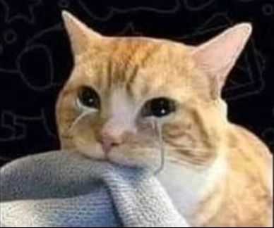 Tuyển Tập 99+ Meme Mèo Khóc Dỗi Slay Cực Cute meme mèo khóc cute cho người yếu lòng