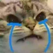 Tuyển Tập 99+ Meme Mèo Khóc Dỗi Slay Cực Cute meme mèo khóc cảm xúc