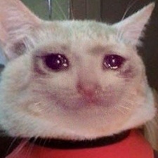 Tuyển Tập 99+ Meme Mèo Khóc Dỗi Slay Cực Cute meme meo khoc 26