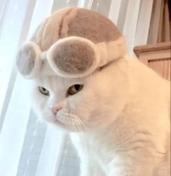 Tuyển Tập 69+ Ảnh Meme Mèo Liếc Mắt Siêu Bá Đạo meme mèo liếc kiểu không quan tâm