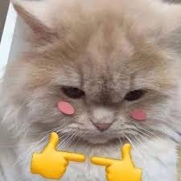 Top 49+ Ảnh Meme Mèo Ngại, Đỏ Mặt Dễ Thương Siêu Hót meme mèo ngại nhìn sang chỗ khác