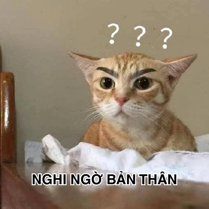 Top 59+ Ảnh Meme Mèo Nghi Ngờ Phán Xét Biểu Cảm Ánh Mắt Bá Đạo meme mèo nghi ngờ kiểu im lặng