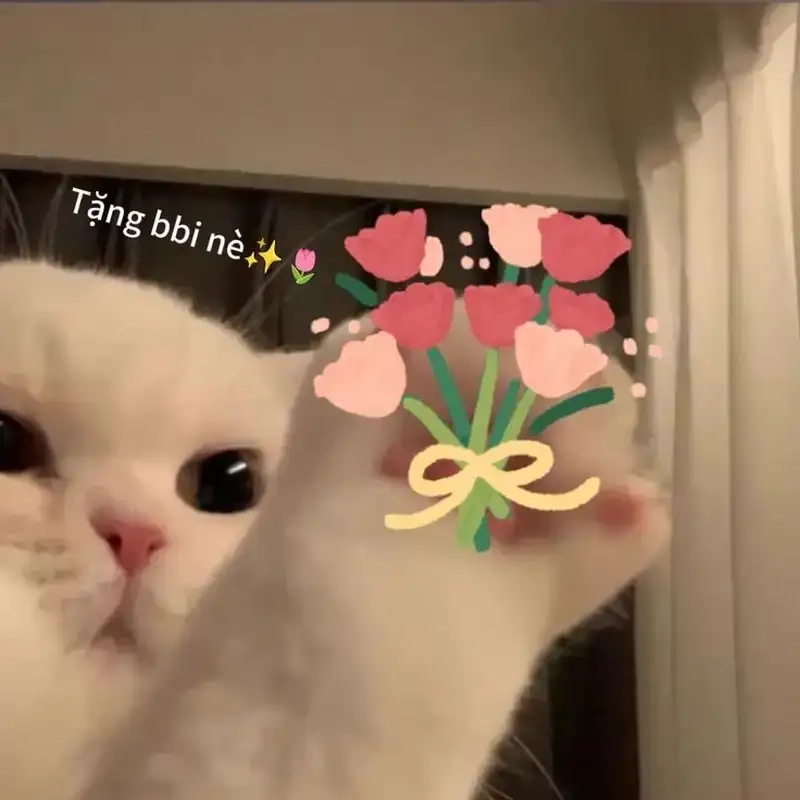 Bộ Sưu Tập 99+ Meme Mèo Tặng Hoa Cute, Đáng Yêu cho Mọi Dịp Meme mèo cầm hoa reaction yêu thương