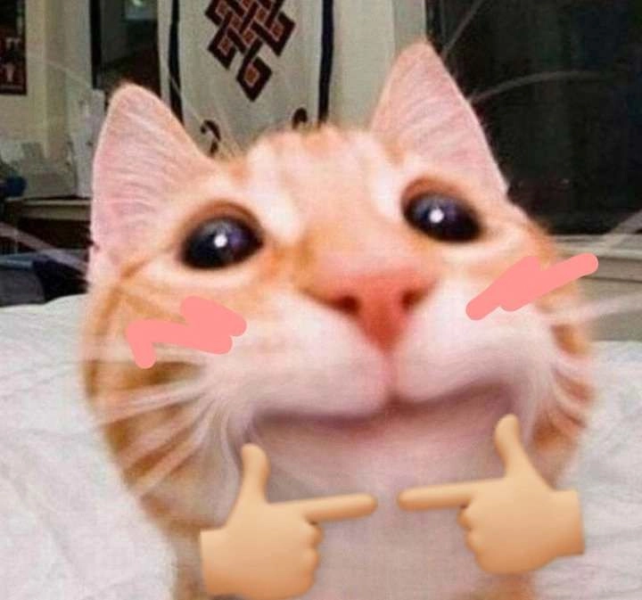 Tổng Hợp 49+ Ảnh Mèo Meme Vô Tri Cute & Lầy Lội ảnh mèo meme vô tri hài nhẹ