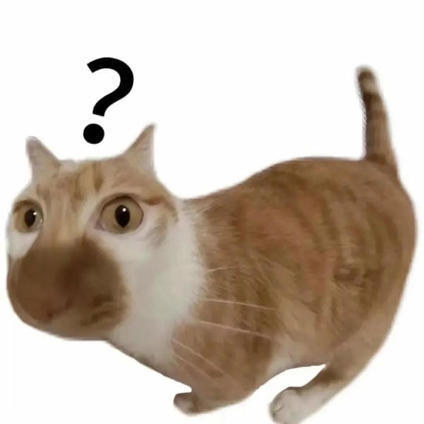 Tổng Hợp 49+ Ảnh Mèo Meme Vô Tri Cute & Lầy Lội ảnh mèo meme vô tri biểu cảm mơ màng