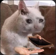 Tổng Hợp 49+ Ảnh Mèo Meme Vô Tri Cute & Lầy Lội ảnh mèo meme vô tri biểu cảm hài