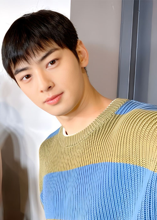 Top 5+ Kiểu Tóc Của Cha Eun Woo Tạo Nên Thươn Hiệu Cha Eun Woo 1