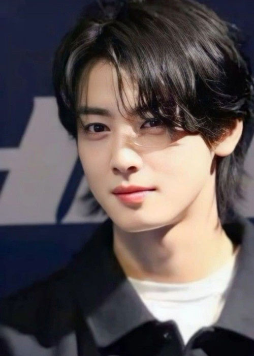 Top 5+ Kiểu Tóc Của Cha Eun Woo Tạo Nên Thươn Hiệu Cha Eun Woo 2