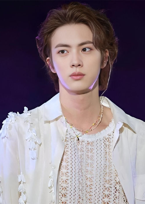 Top 9+ Kiểu Tóc Của Jin BTS Phong Cách Nam Tính, Mạnh Mẽ và Cá Tính Kiểu tóc Pompadour