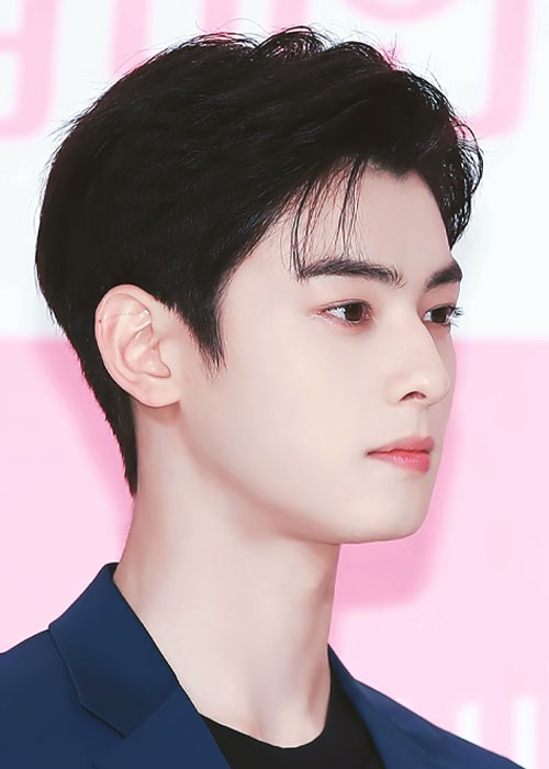 Top 5+ Kiểu Tóc Của Cha Eun Woo Tạo Nên Thươn Hiệu Kiểu tóc Side Part của Cha Eun Woo