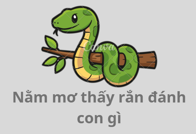 Ý Nghĩa Về Giấc Mơ Giết Rắn & Đánh Số Gì May Mắn? Screenshot 2026 02 04 170816 1