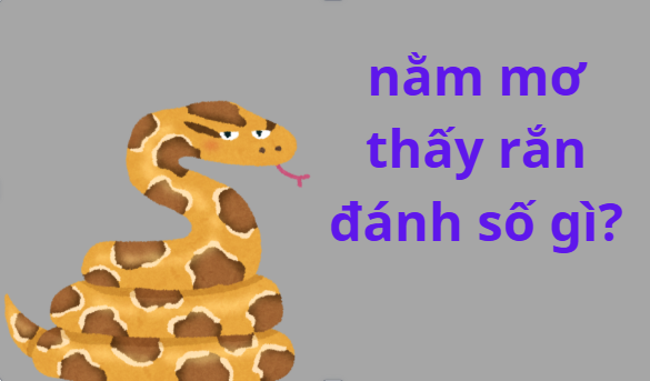 Ý Nghĩa Giấc Mơ Thấy TRăn & Con Số May Mắn Năm 2026 Screenshot 2026 02 07 144613