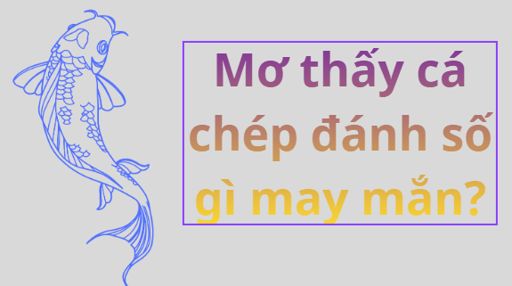 Nằm Mơ Thấy Cá Chép Có Ý NGhĩa Như Thế Nào? Con Số May Mắn Liên Quan nằm mơ thấy cá chép con số may mắn