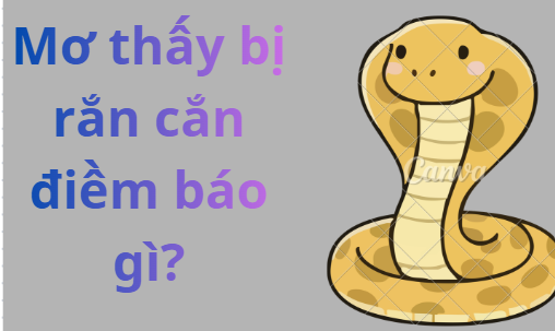 Mơ Thấy Bị Rắn Cắn Là Điềm Báo Gì? Con Số May Mắn Năm 2026 nằm mơ bị rắn cắn 3