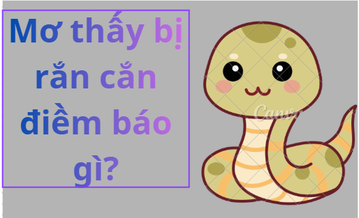 Mơ Thấy Bị Rắn Cắn Là Điềm Báo Gì? Con Số May Mắn Năm 2026 mơ bị rắn cắn